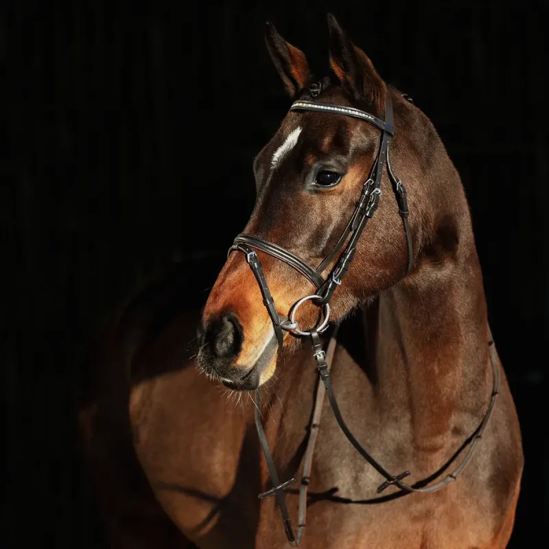 WESTON BRIDLE HORZE