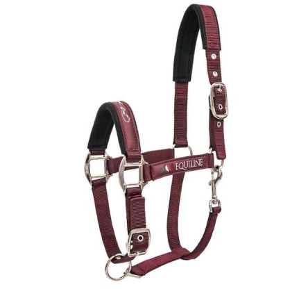 PE00123 CAPEZZA TIMMY