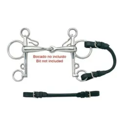 CORREA PUENTE PELHAM