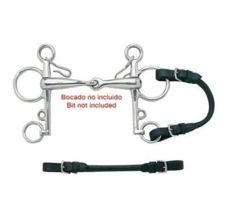 CORREA PUENTE PELHAM