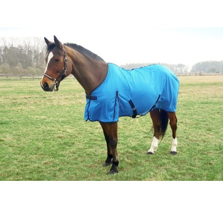 CH. FILET E-TH ECLAT BL