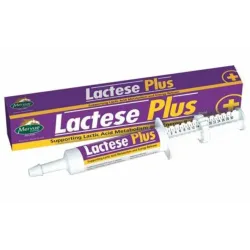 LACTASE PLUS MERVUE