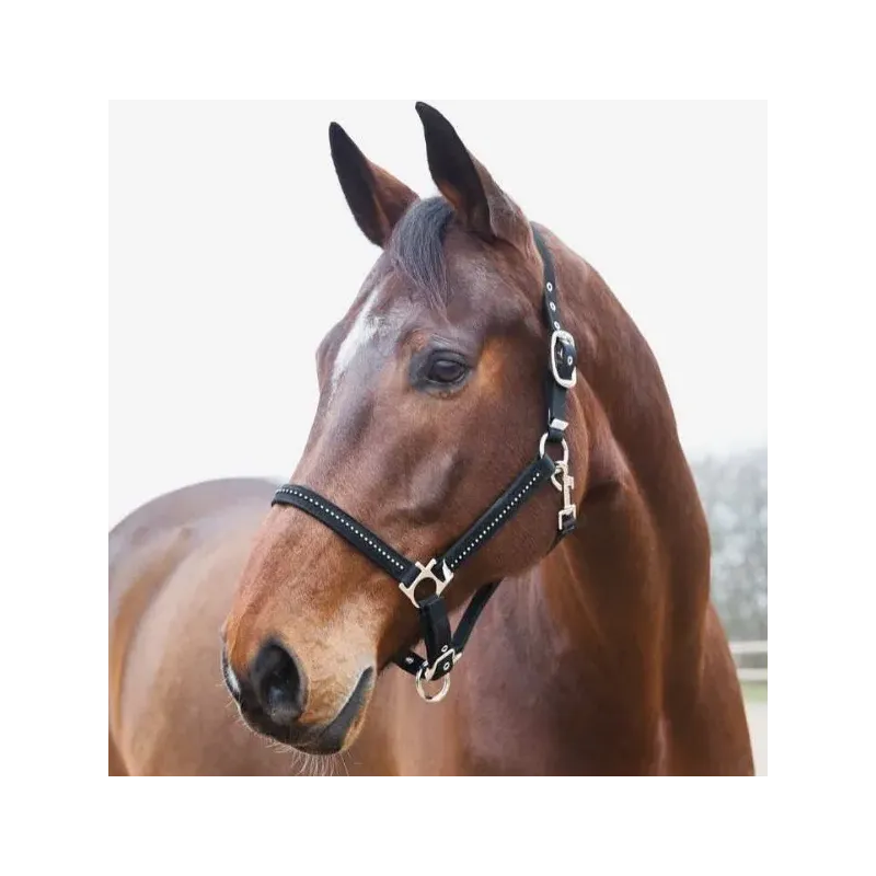 HORZE DIAMOND HALTER