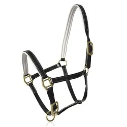 CABEZADA CUADRA LEXHIS BIOTANE